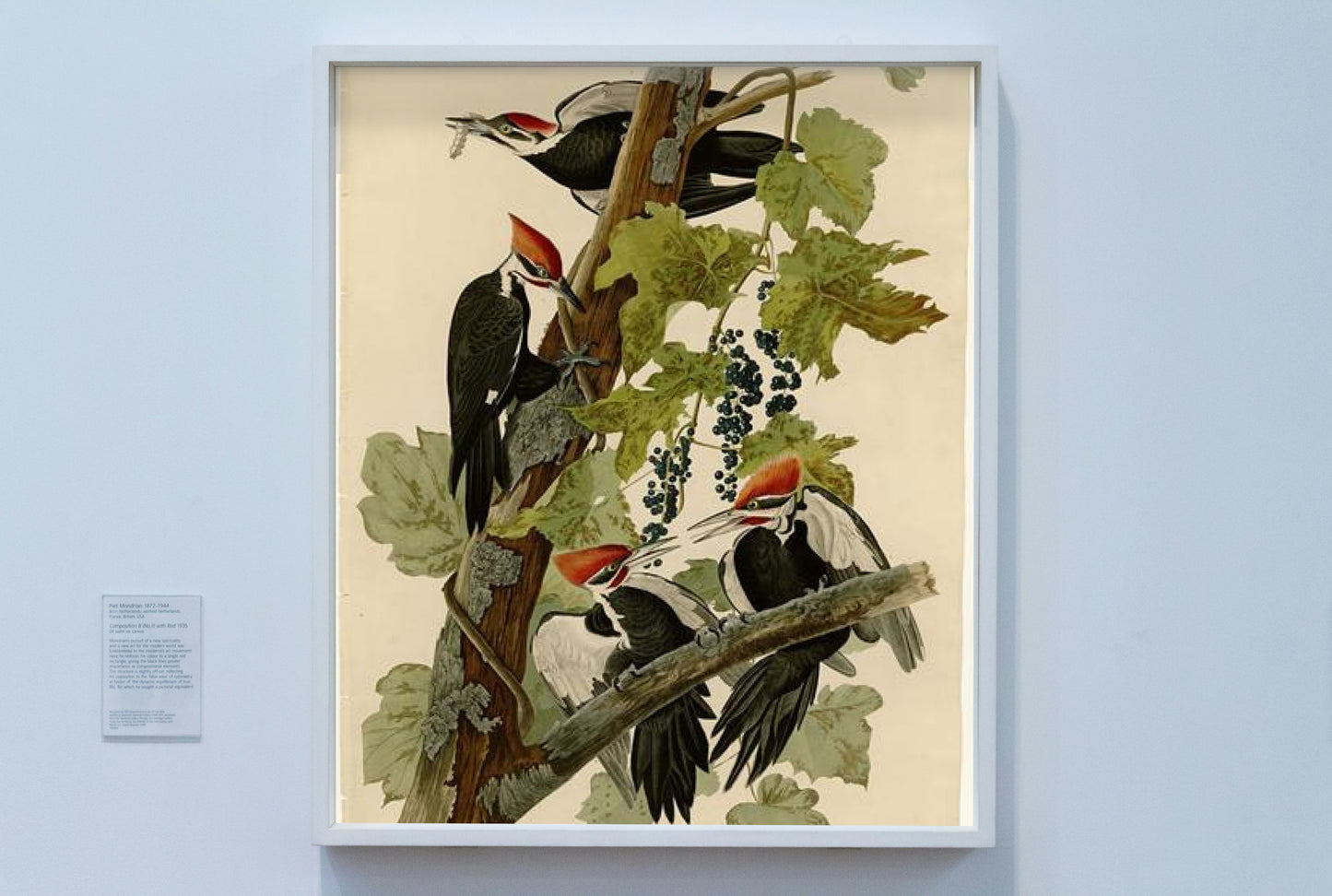 Plate 111 Pileated Woodpecker by John James Audubon Naturalism Art