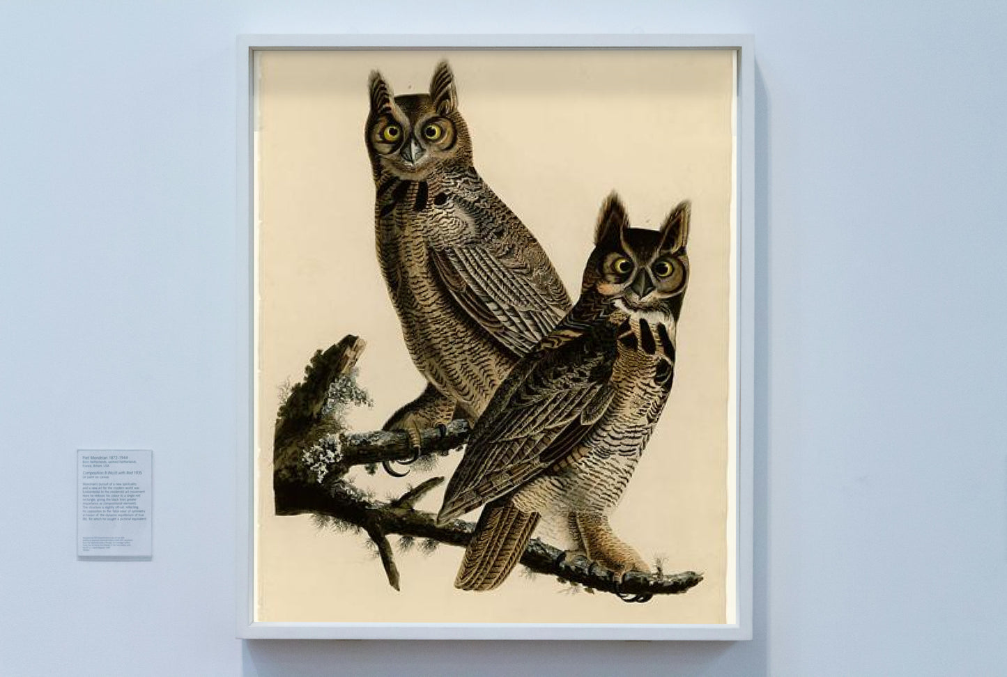 Plate 61. Great Horned Owl by John James Audubon Naturalism Art