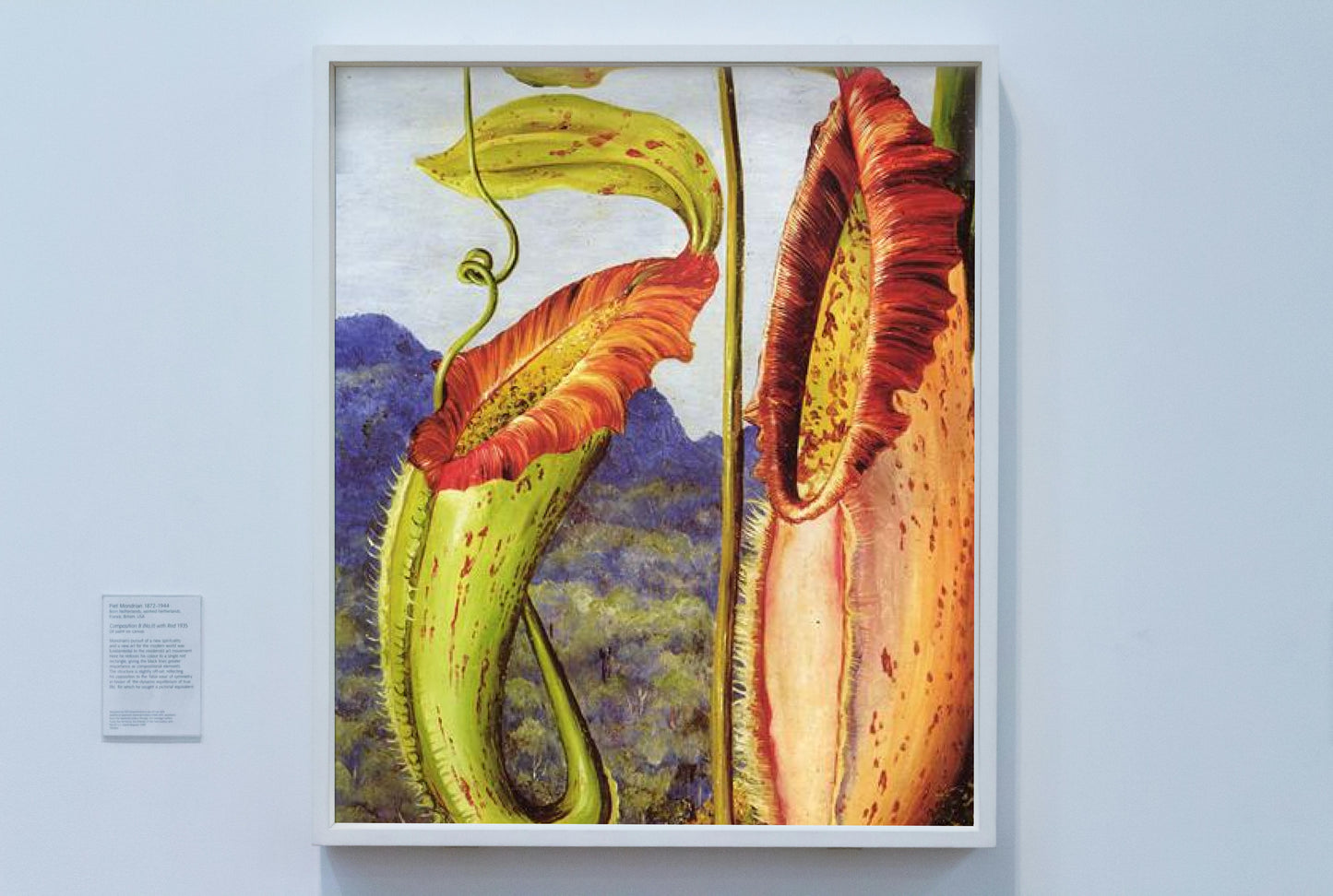 Nepenthes northiana by Marianne North Naturalism Art dated 1876