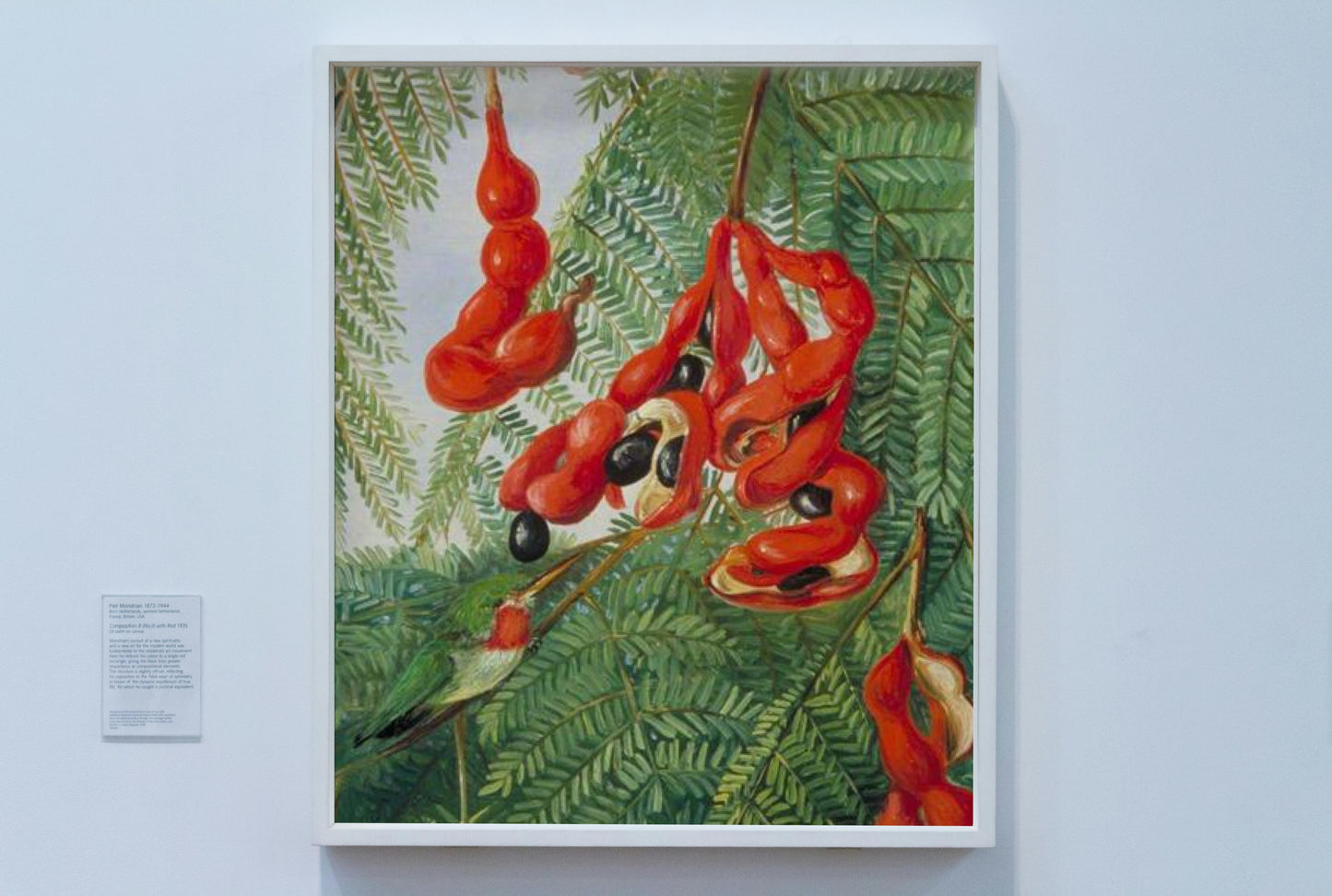 The Wild Tamarind of Jamaica with Scarlet Pod and Barbet by Marianne North Naturalism Art dated 1872