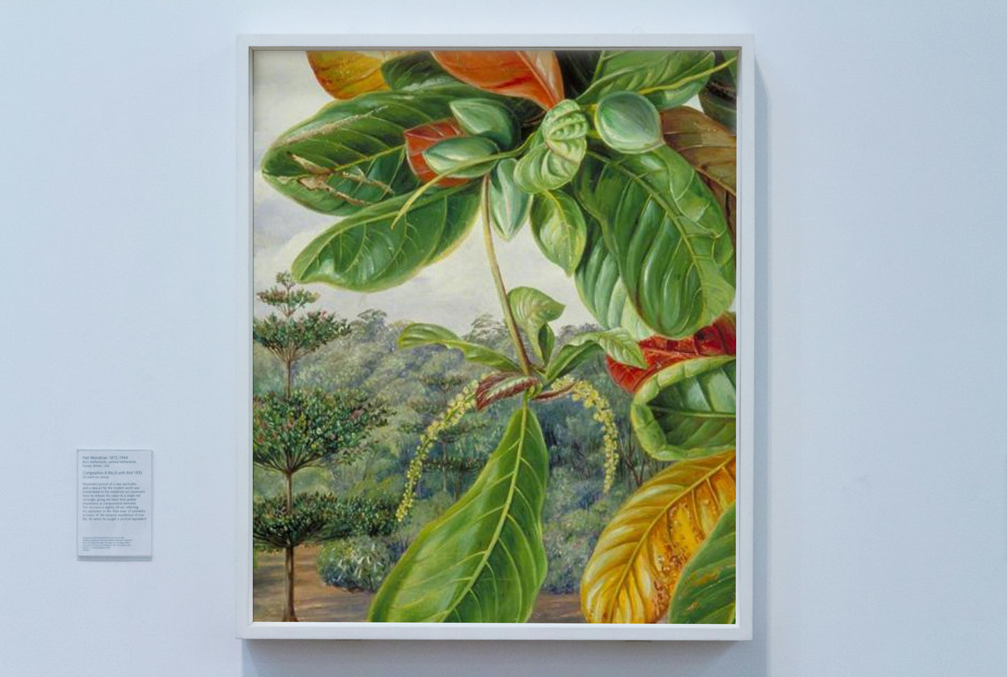 Indian Almond by Marianne North Naturalism Art dated 1870