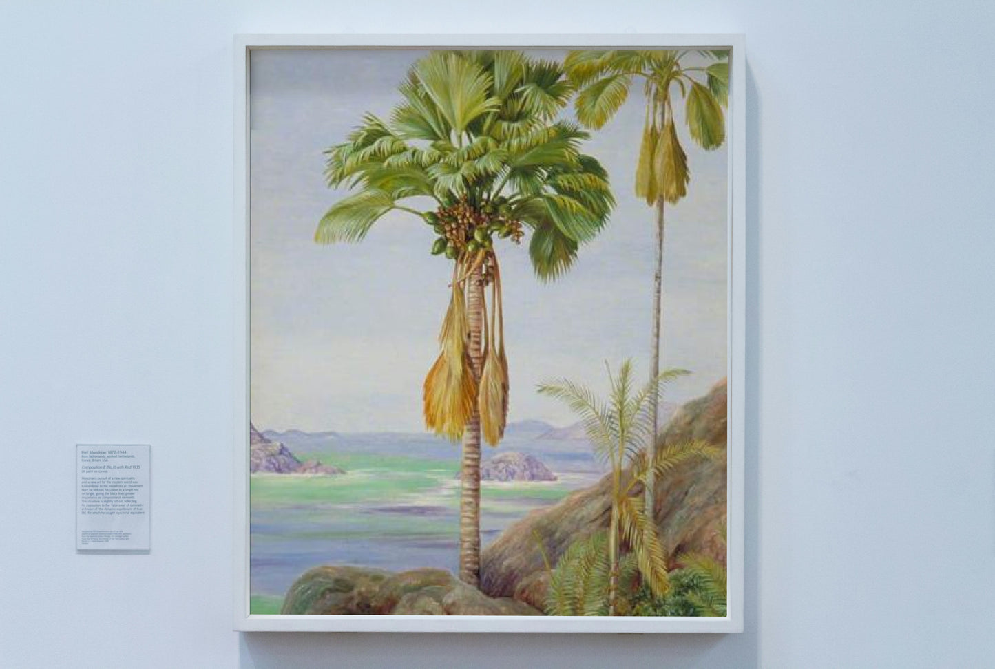 Male and Female Trees of the Coco de Mer in Praslin by Marianne North Naturalism Art dated 1883