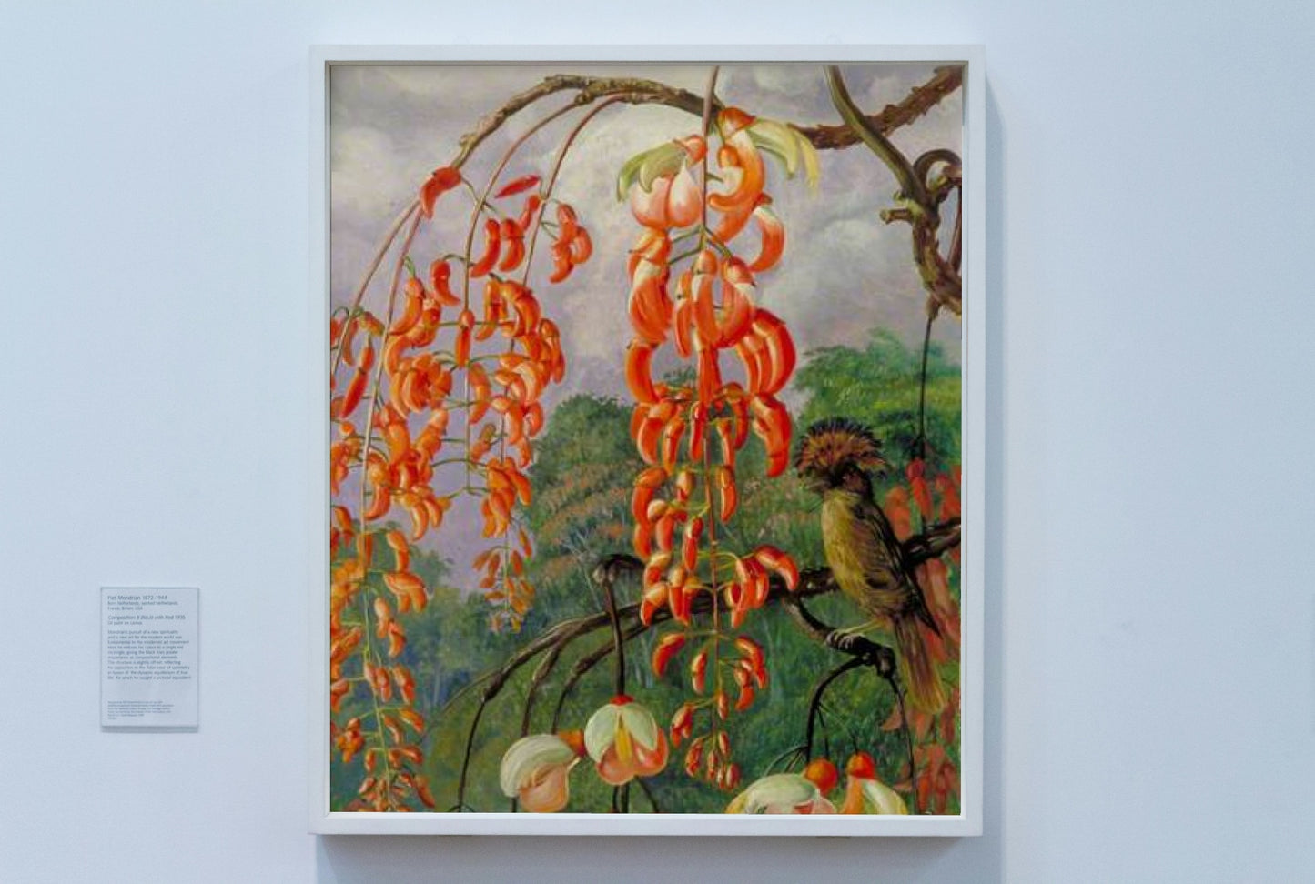 Flowers of a Coral Tree and King of the Flycatchers, Brazil by Marianne North Naturalism Art