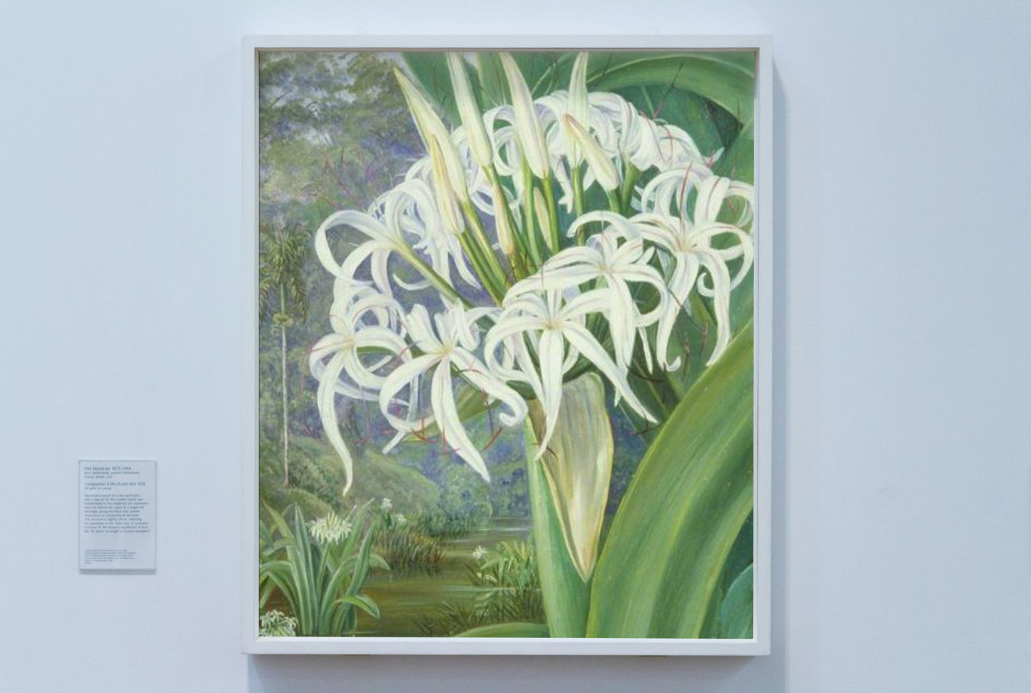 A Bornean Crinum by Marianne North Naturalism Art dated 1876