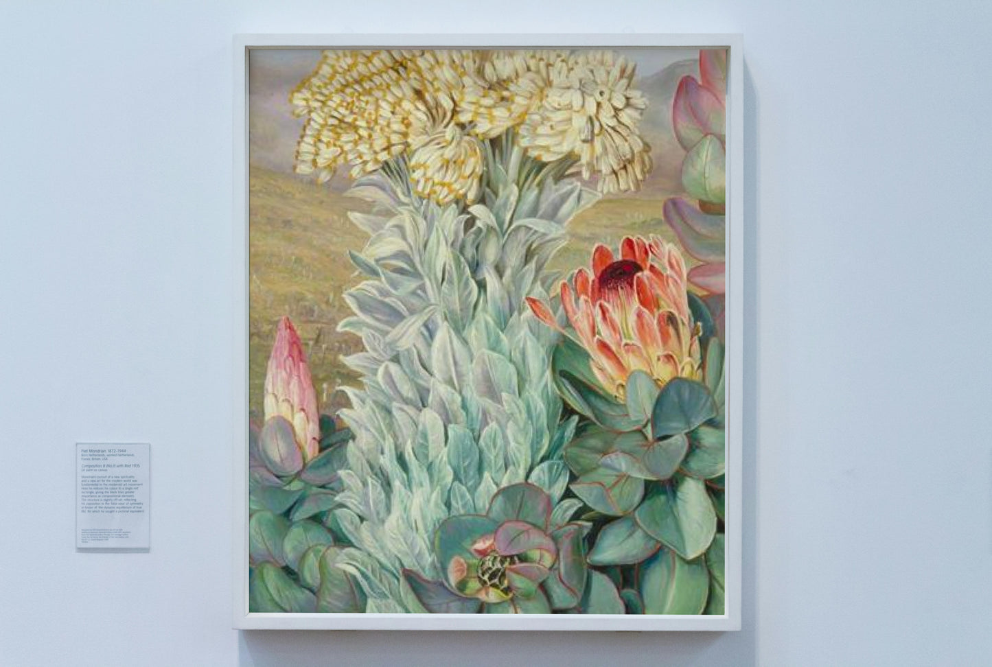 Giant Everlasting and Protea on the Hills near Port Elizabeth by Marianne North Naturalism Art dated 1882