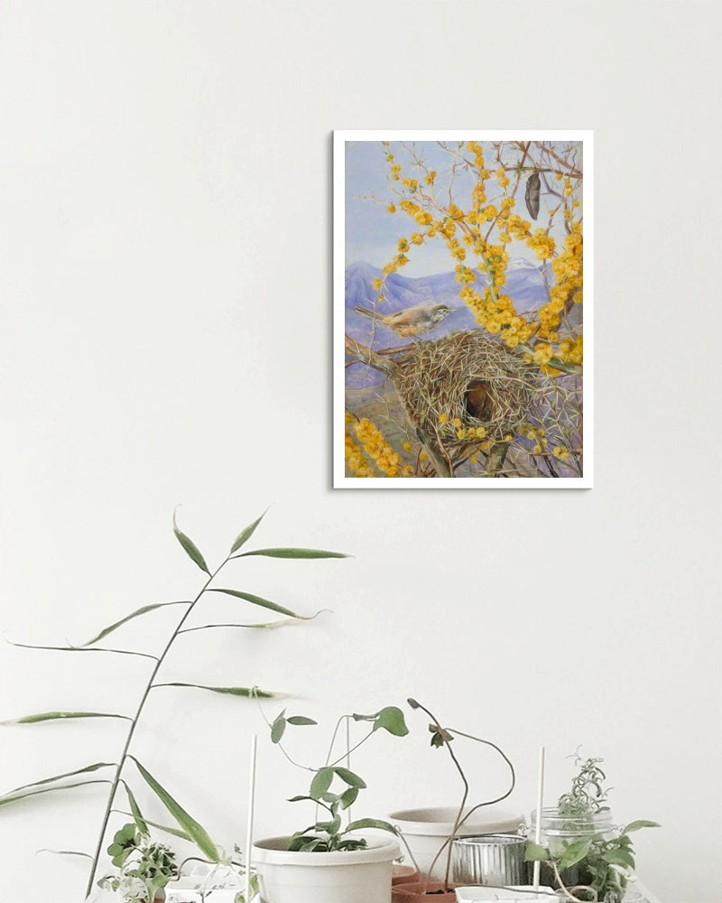 Armed Bird&#39;s Nest in Acacia Bush, Chile by Marianne North Naturalism Art