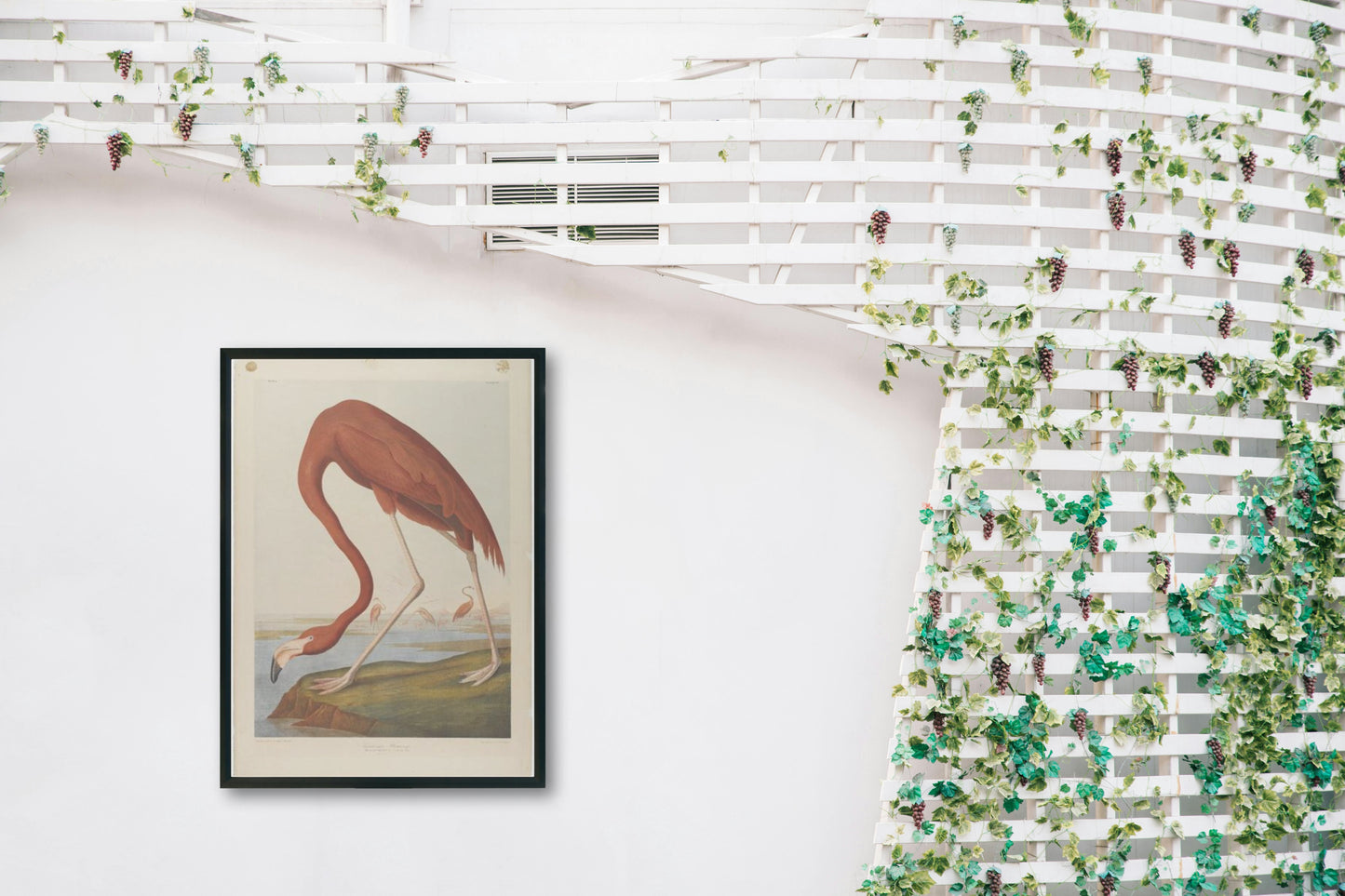 American Flamingo by John James Audubon Naturalism Art dated 1864