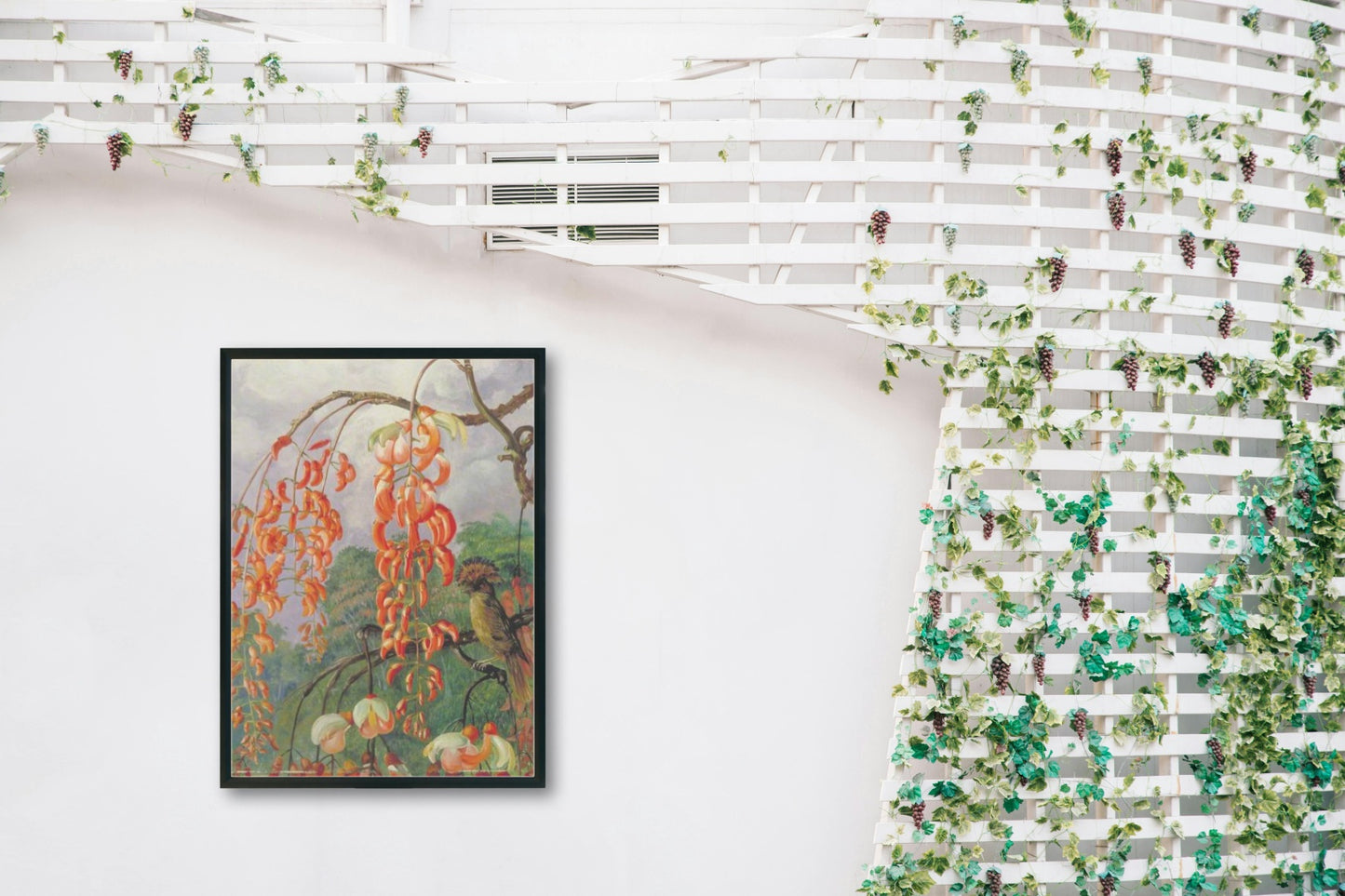 Flowers of a Coral Tree and King of the Flycatchers, Brazil by Marianne North Naturalism Art