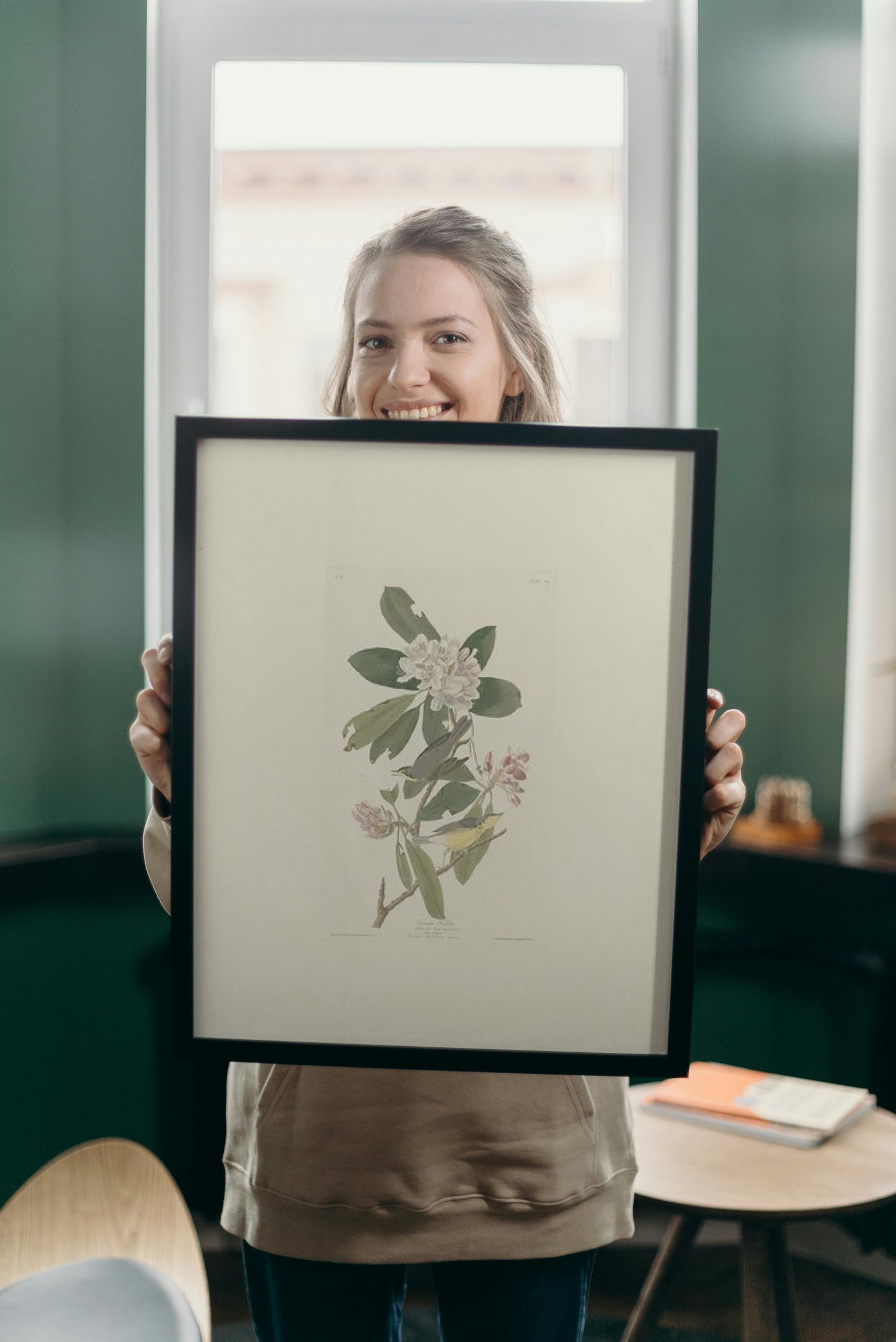 Plate 103 Canada Warbler by John James Audubon Naturalism Art