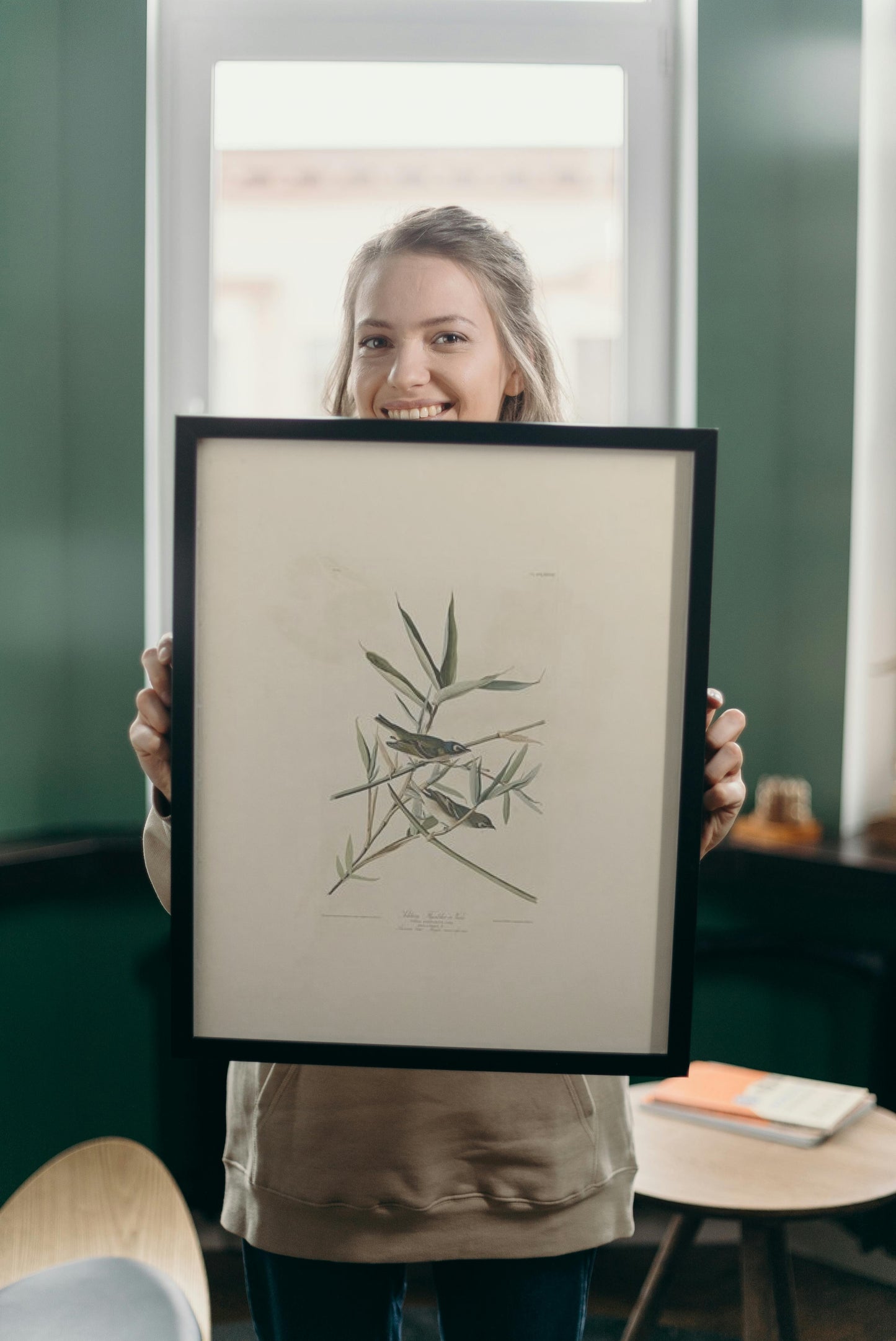 Plate 28. Solitary Flycatcher or Vireo by John James Audubon Naturalism Art