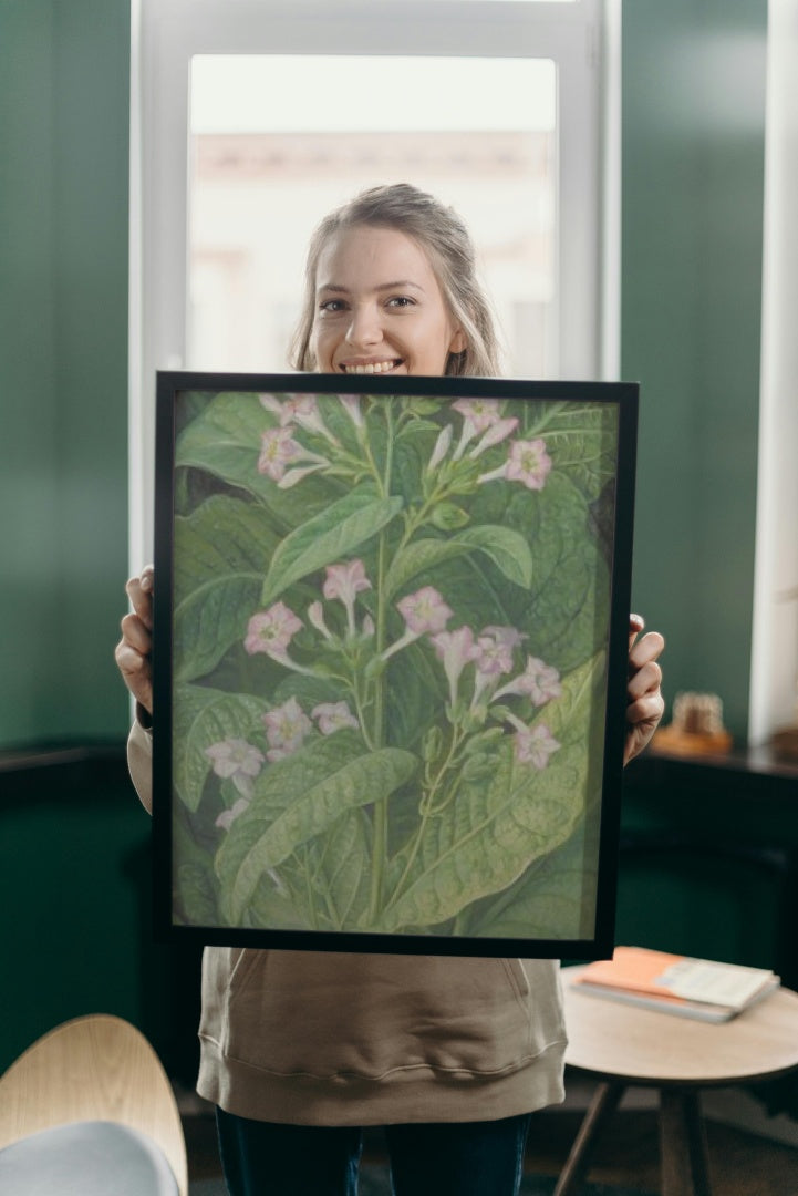 Common Tobacco by Marianne North Naturalism Art