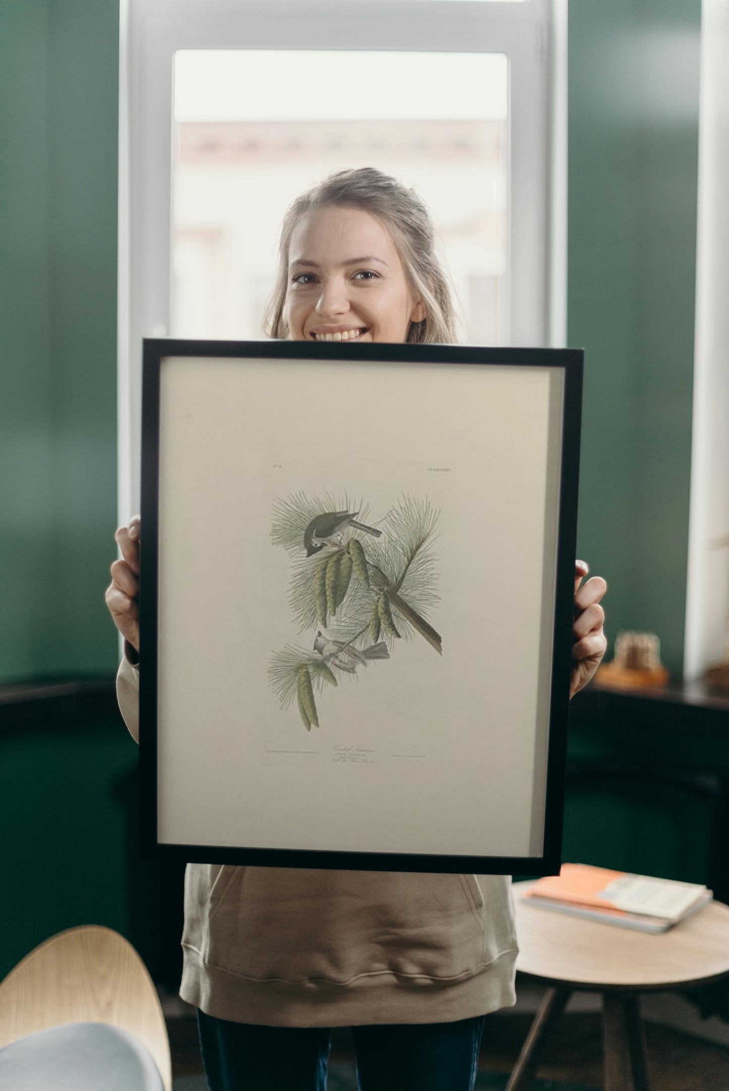 Plate 39. Crested Titmouse by John James Audubon Naturalism Art