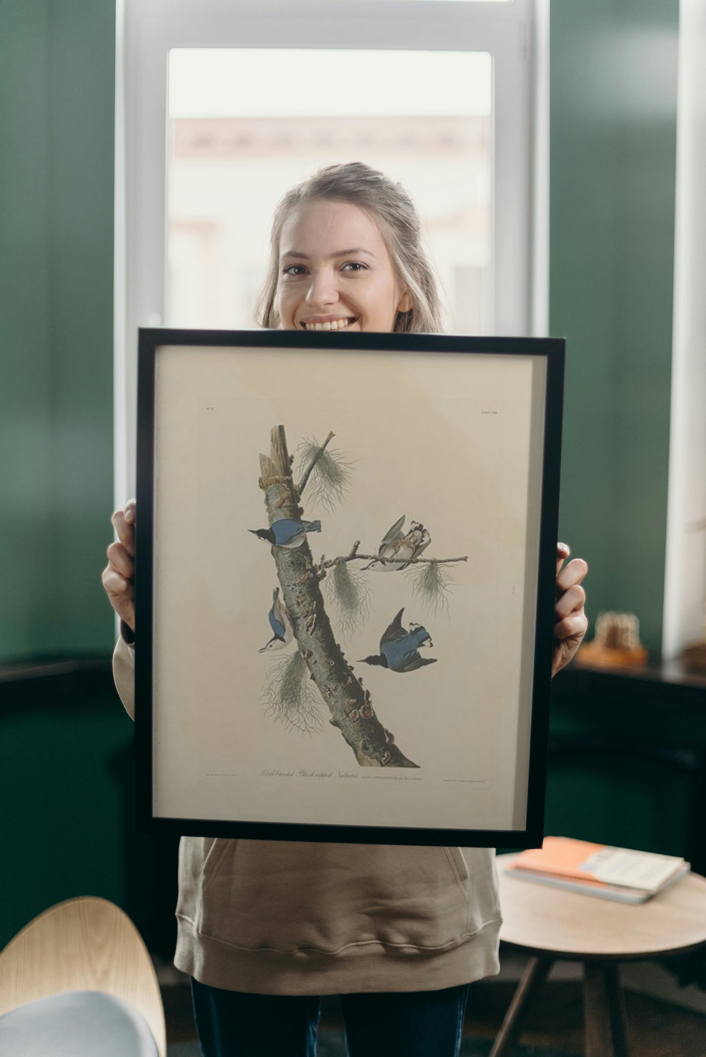 Plate 152 White-breasted Black-capped Nuthatch by John James Audubon Naturalism Art