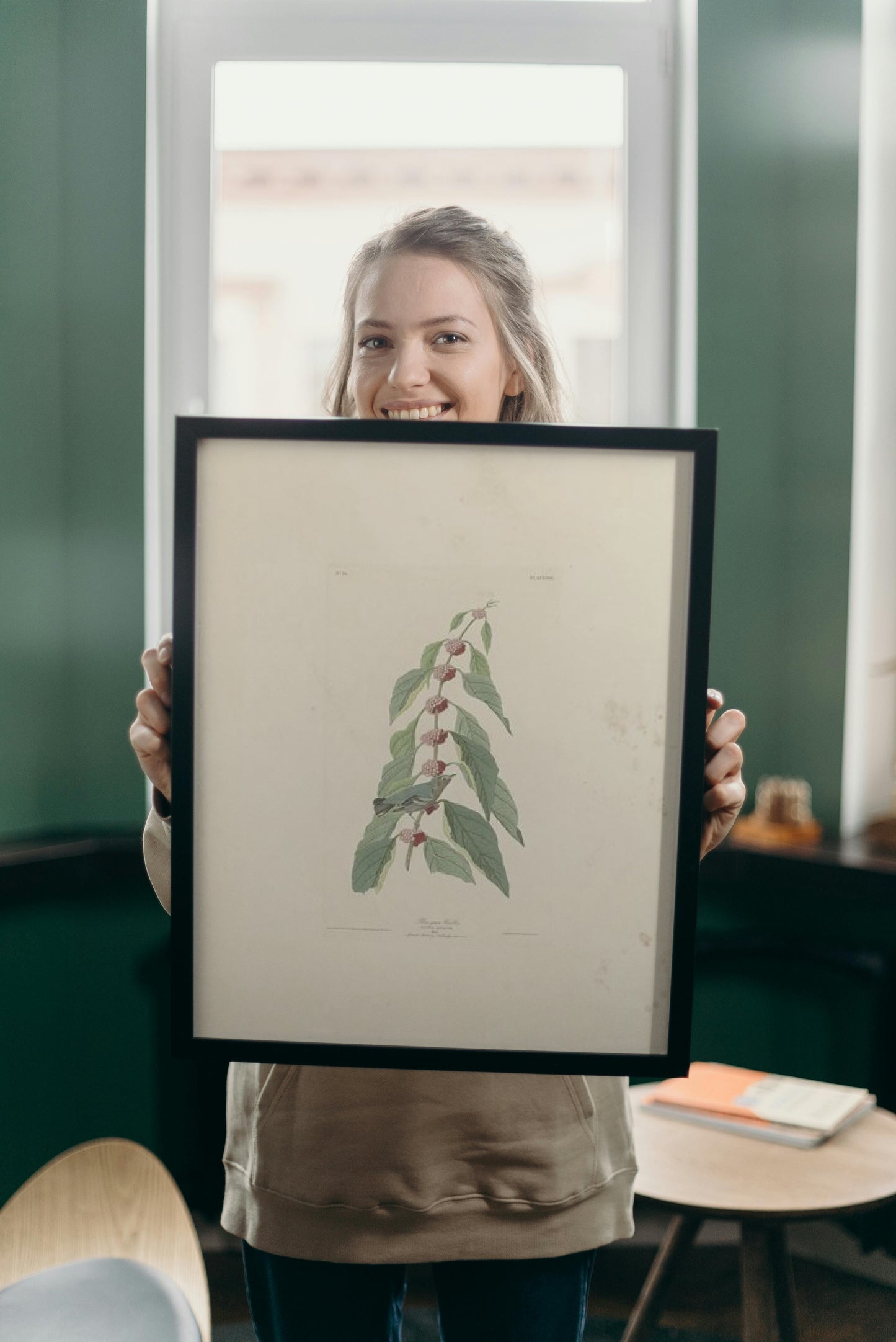 Plate 49. Blue-green Warbler by John James Audubon Naturalism Art