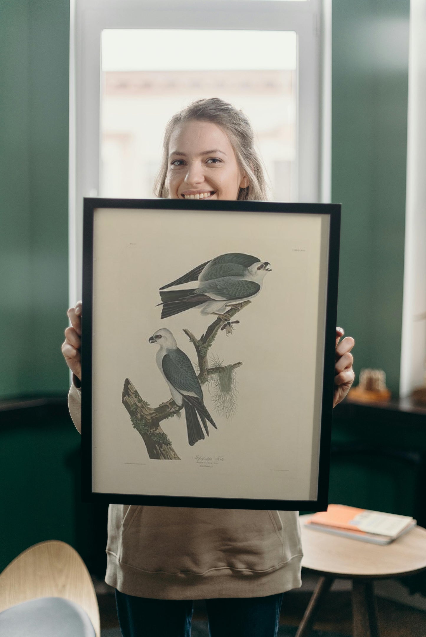 Plate 117 Mississippi Kite by John James Audubon Naturalism Art