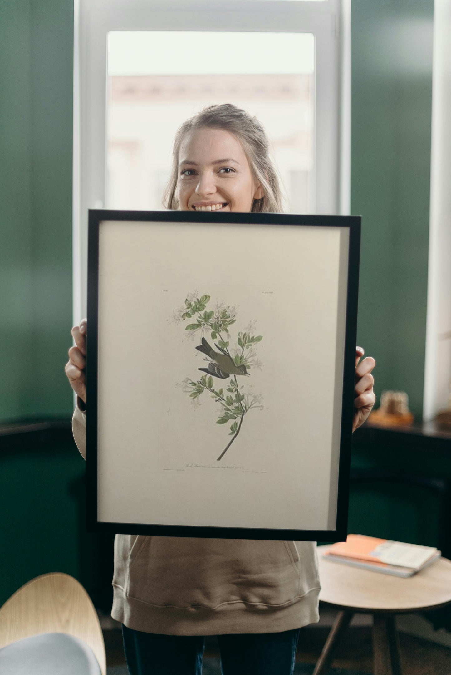 Plate 115 Wood Pewee by John James Audubon Naturalism Art