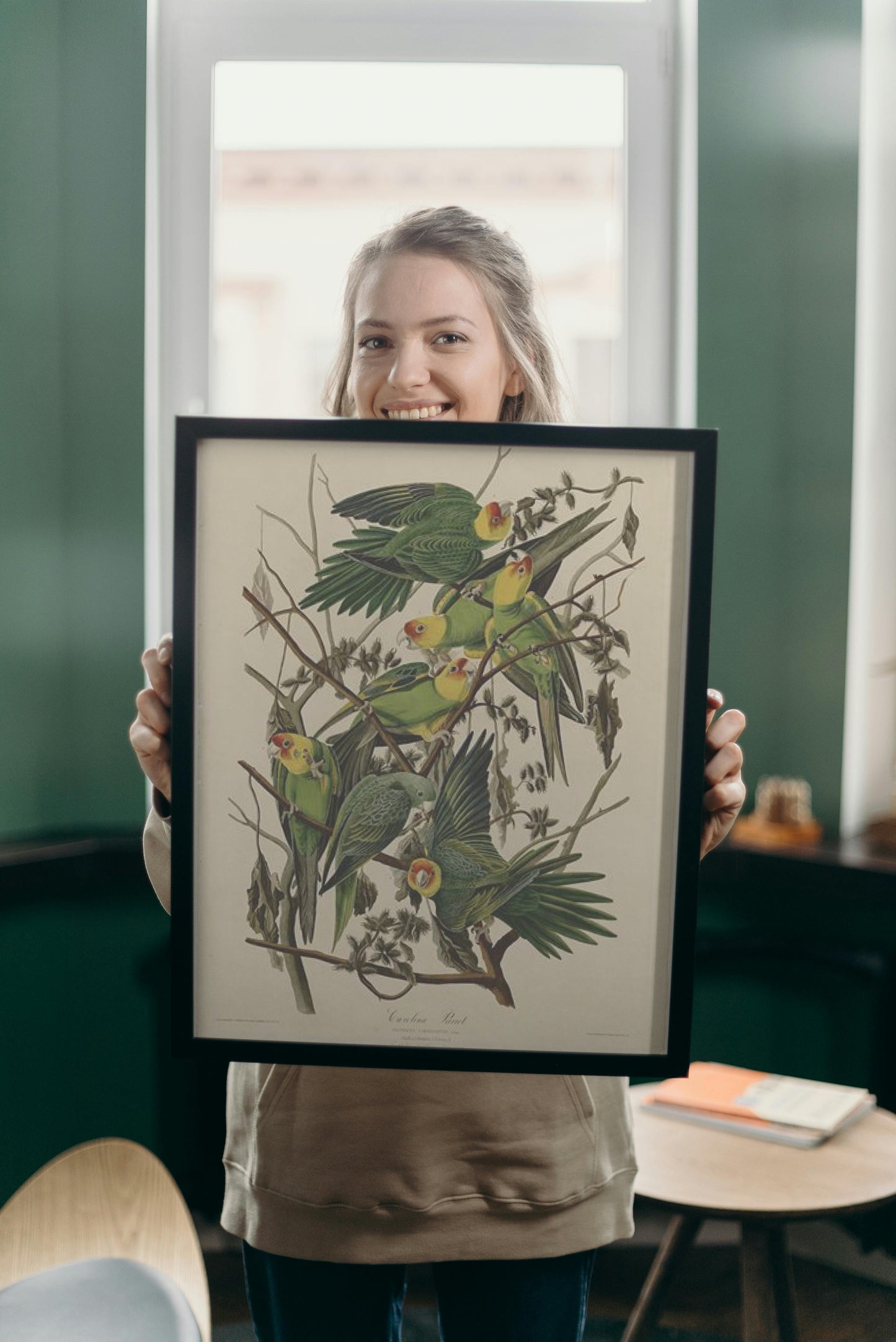 Plate 26. Carolina Parrot by John James Audubon Naturalism Art