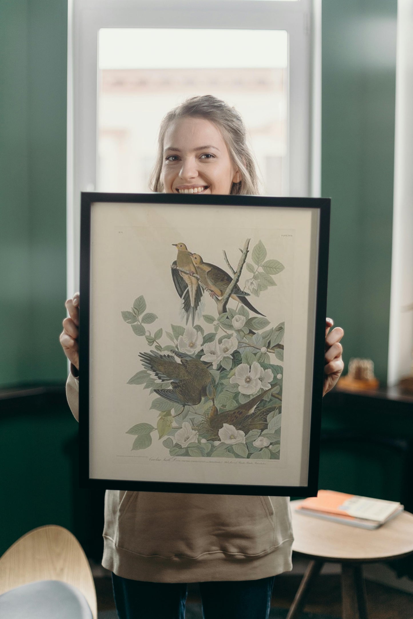 Plate 17. Carolina Turtle Dove by John James Audubon Naturalism Art