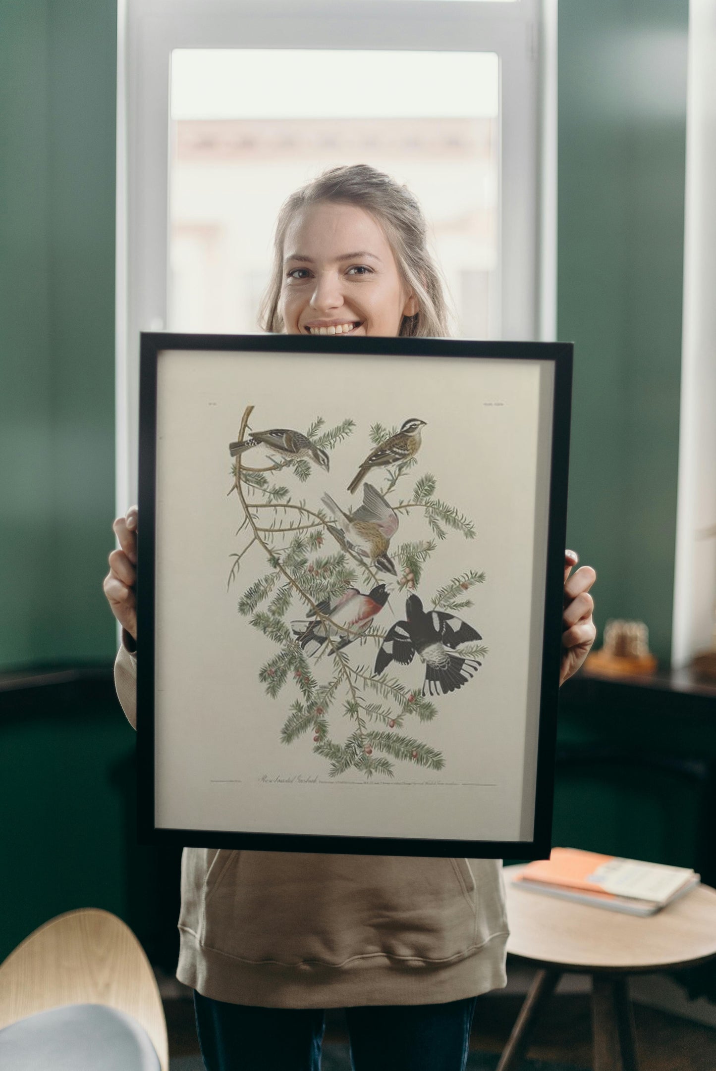 Plate 127 Rose-breasted Grosbeak by John James Audubon Naturalism Art