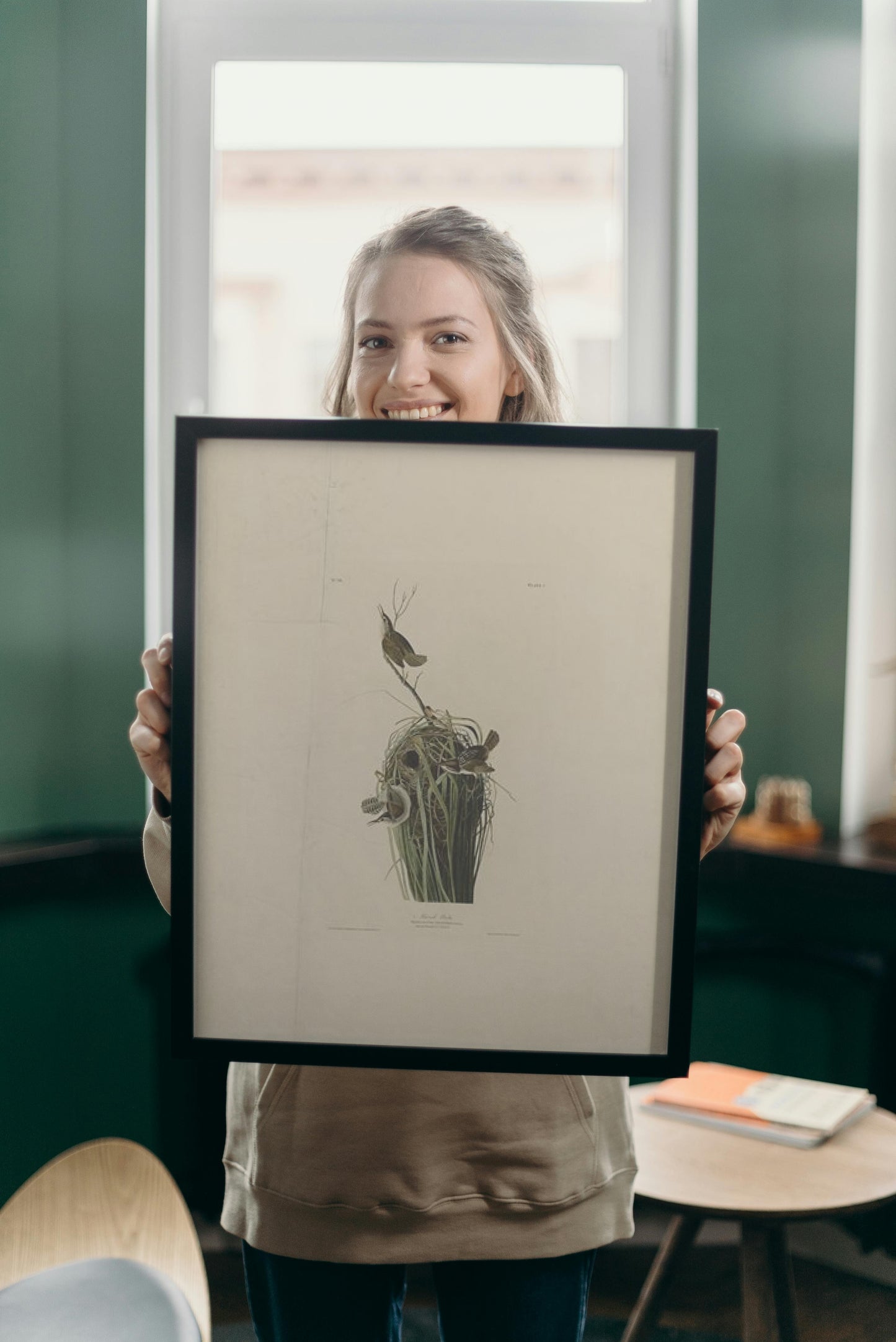 Plate 100 Marsh Wren by John James Audubon Naturalism Art