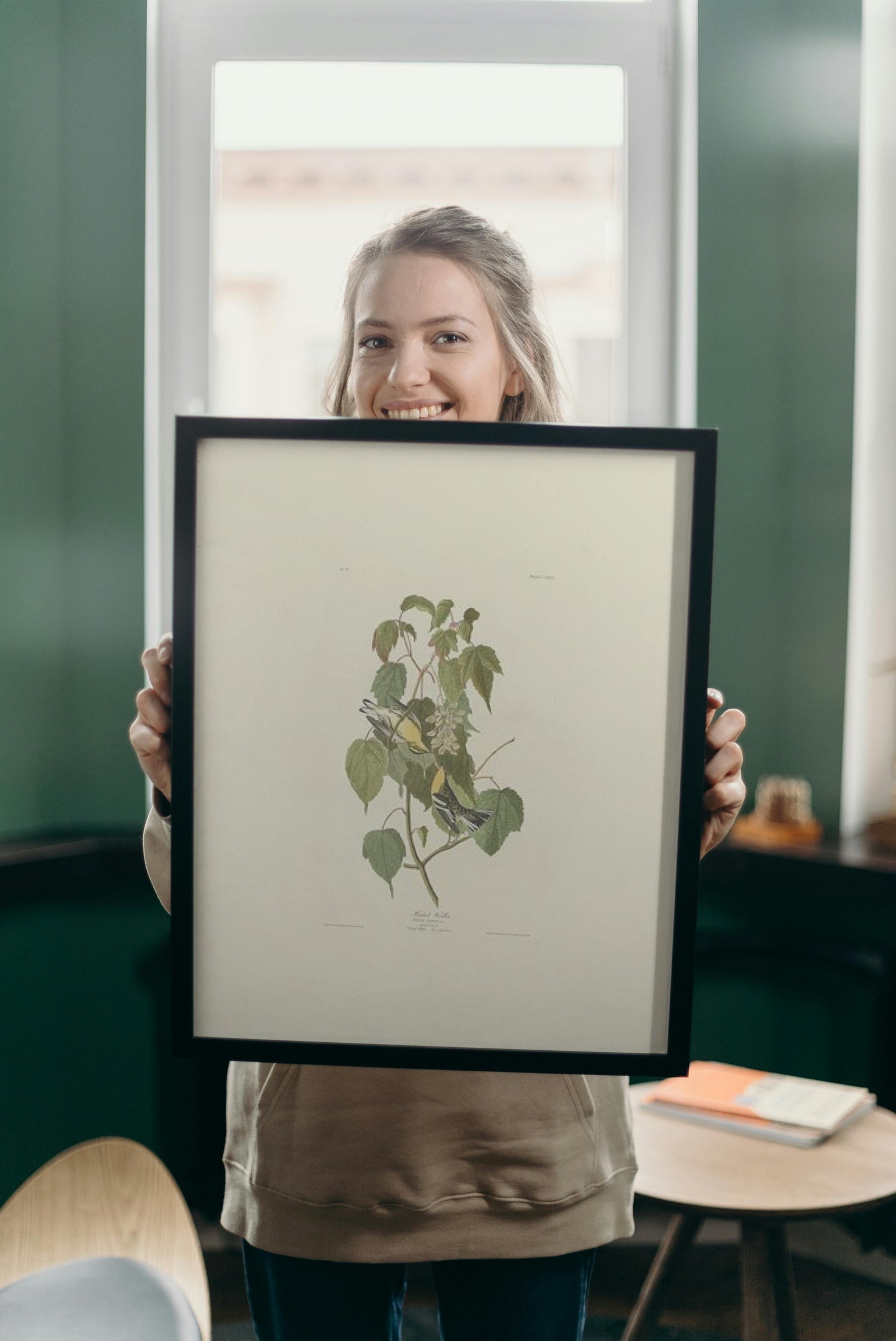 Plate 134 Hemlock Warbler by John James Audubon Naturalism Art