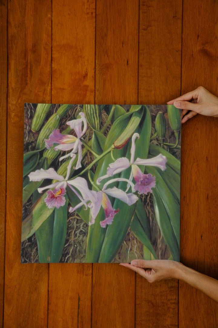 Pink Orchid by Marianne North Naturalism Art