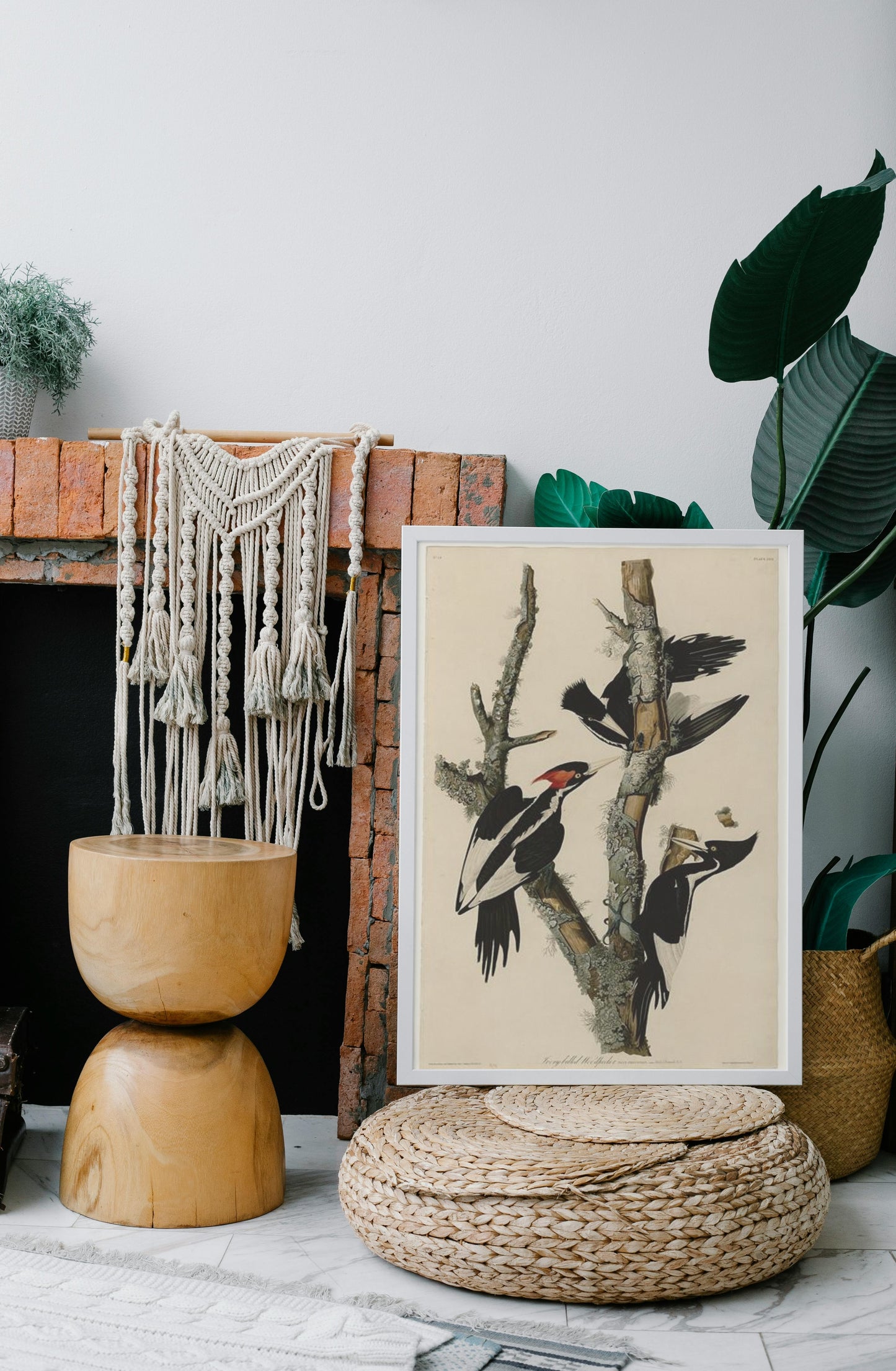 Plate 66 Ivory-billed Woodpecker by John James Audubon Naturalism Art