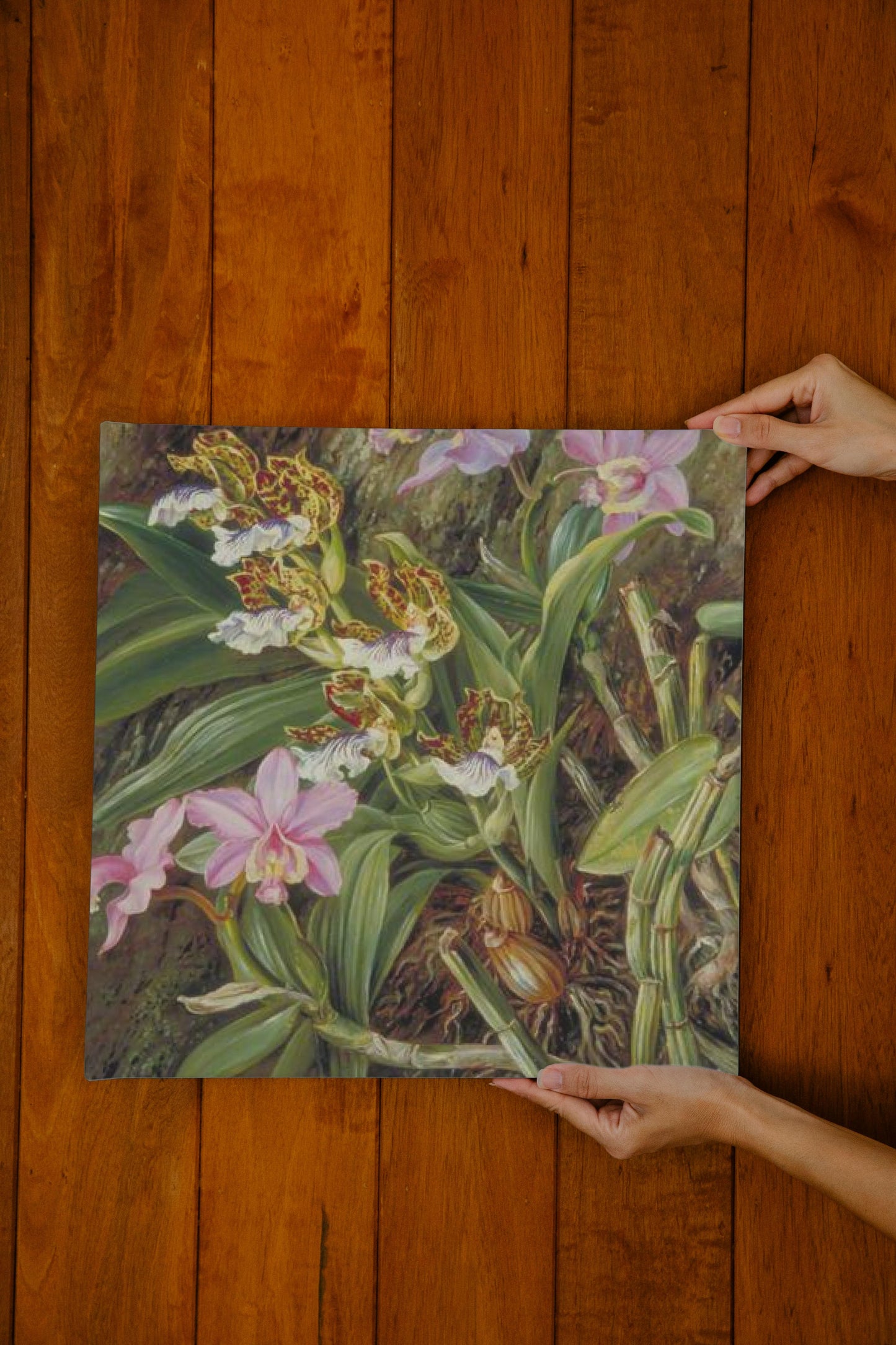 Brazilian Orchids by Marianne North Naturalism Art