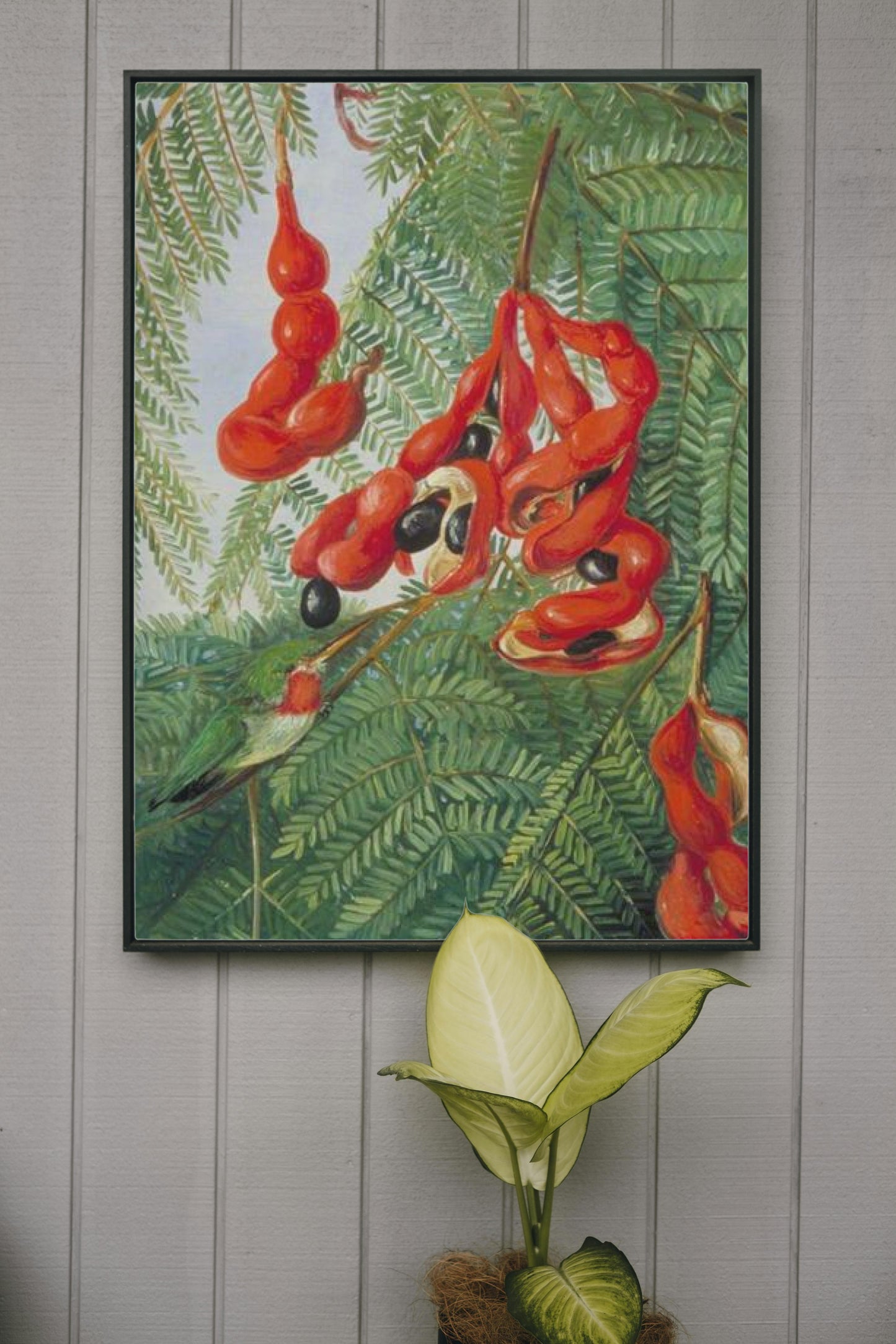 The Wild Tamarind of Jamaica with Scarlet Pod and Barbet by Marianne North Naturalism Art dated 1872