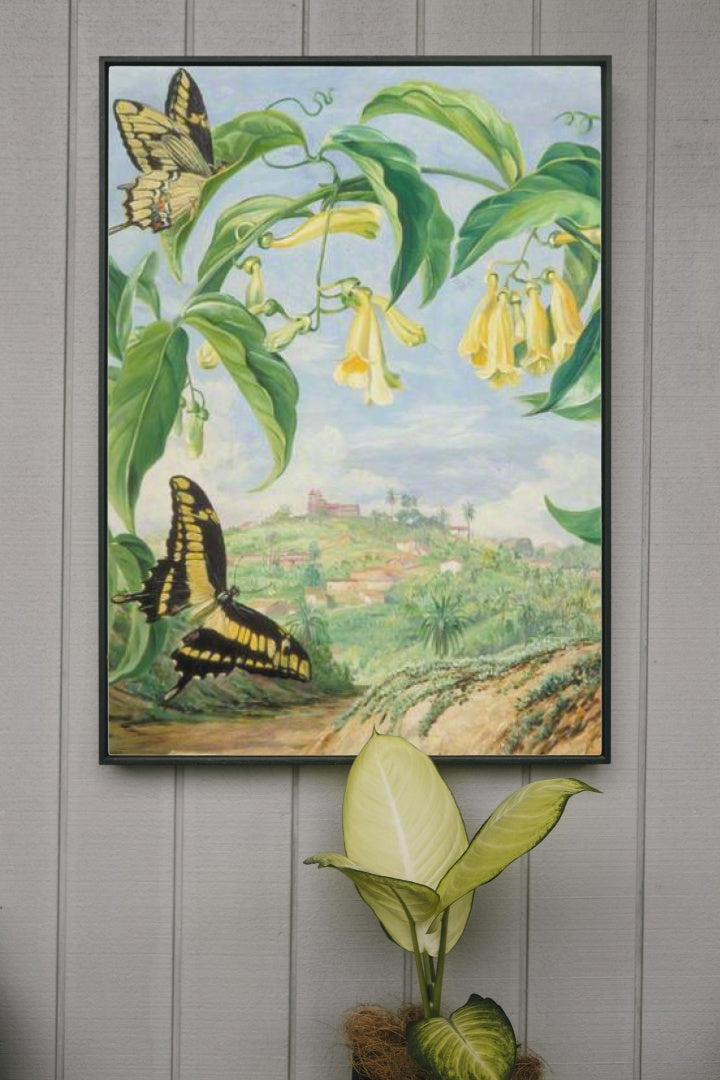 Yellow Bignonia and Swallow-Tail Butterflies with a View of Congonhas, Brazil by Marianne North Naturalism Art