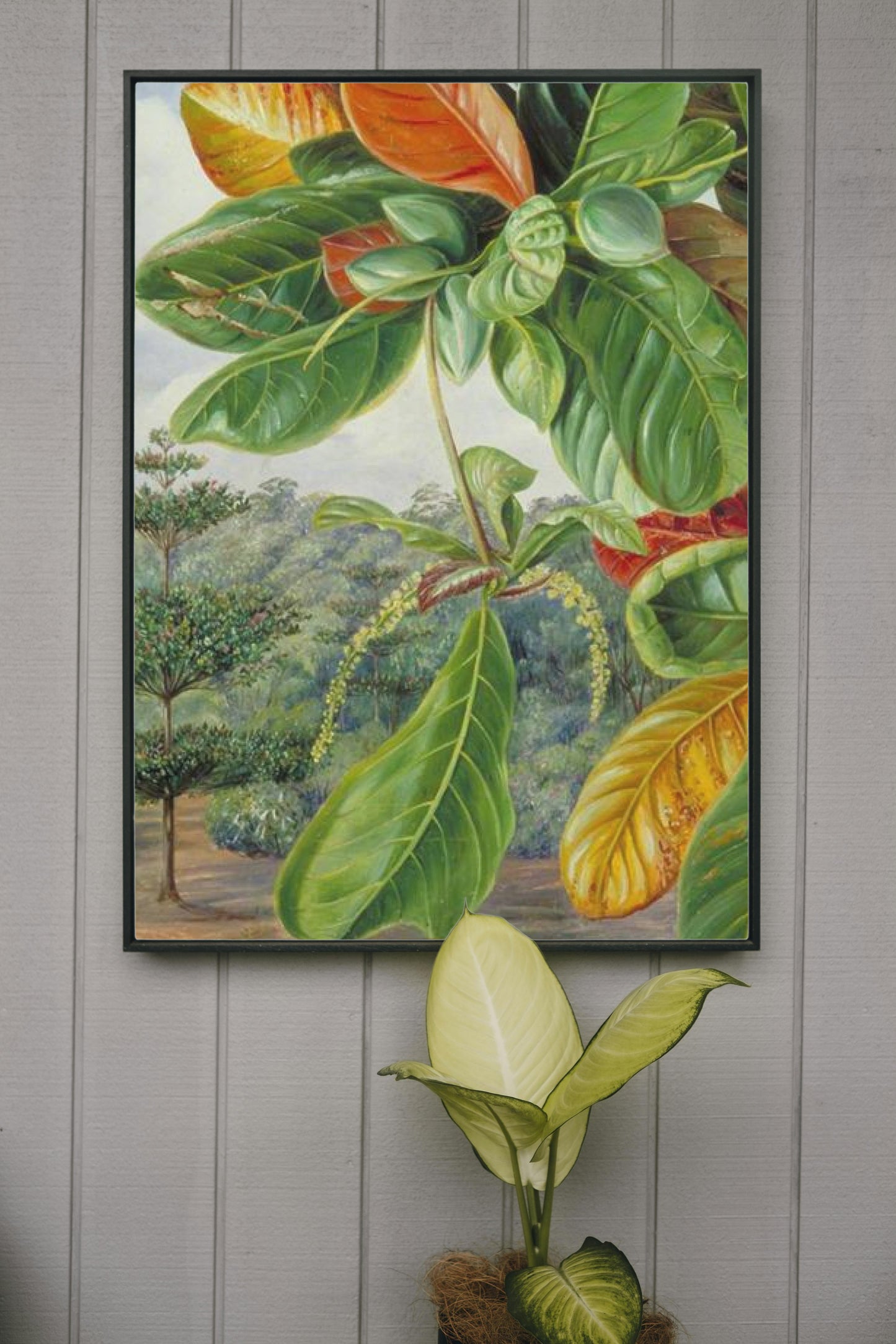 Indian Almond by Marianne North Naturalism Art dated 1870