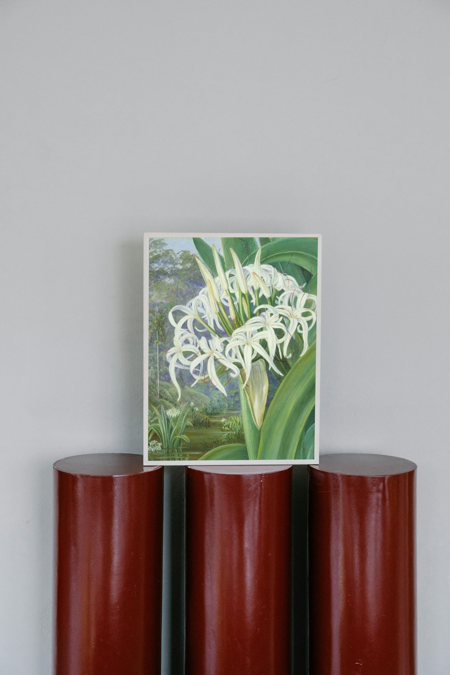 A Bornean Crinum by Marianne North Naturalism Art dated 1876