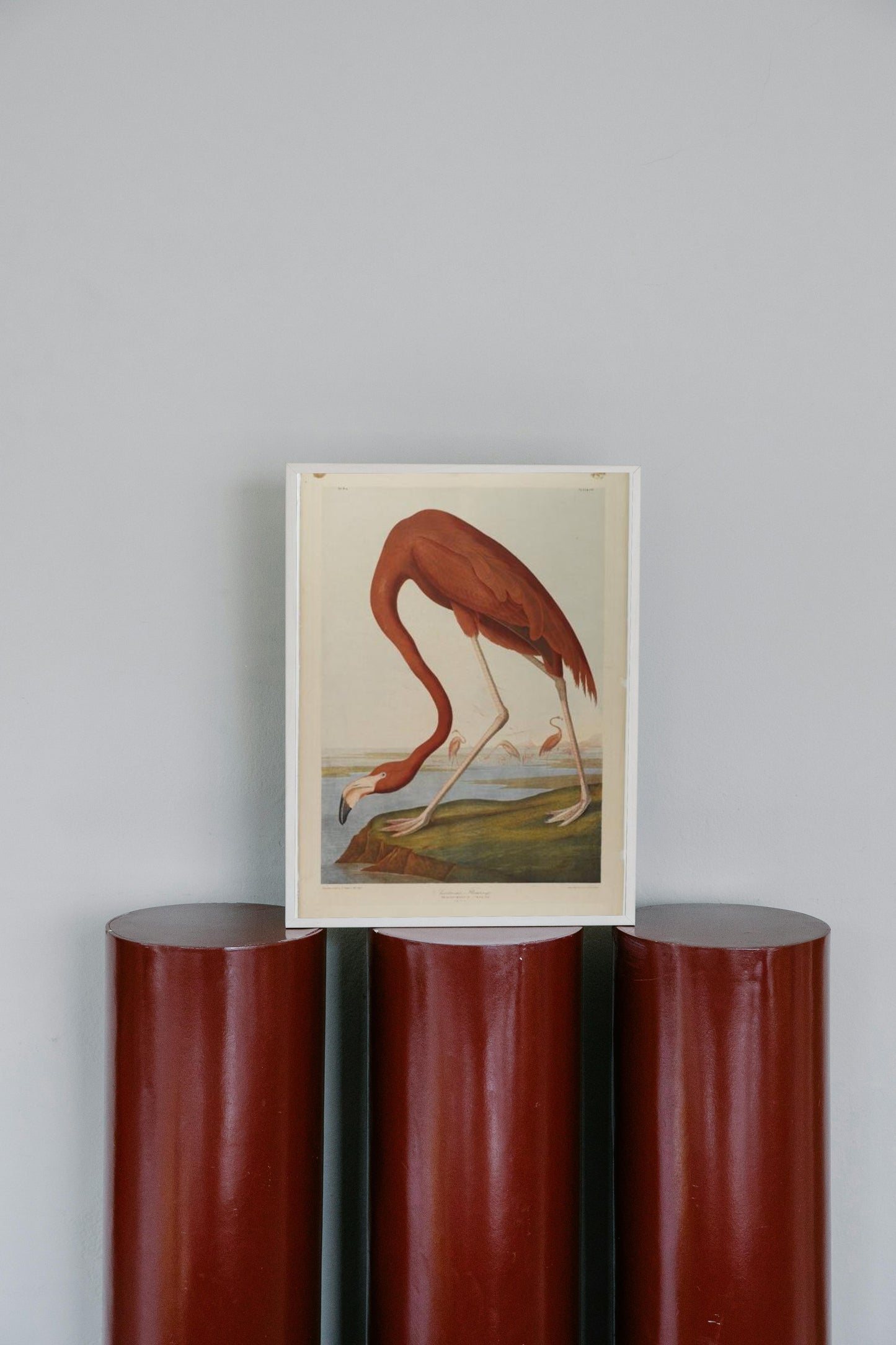 American Flamingo by John James Audubon Naturalism Art dated 1864