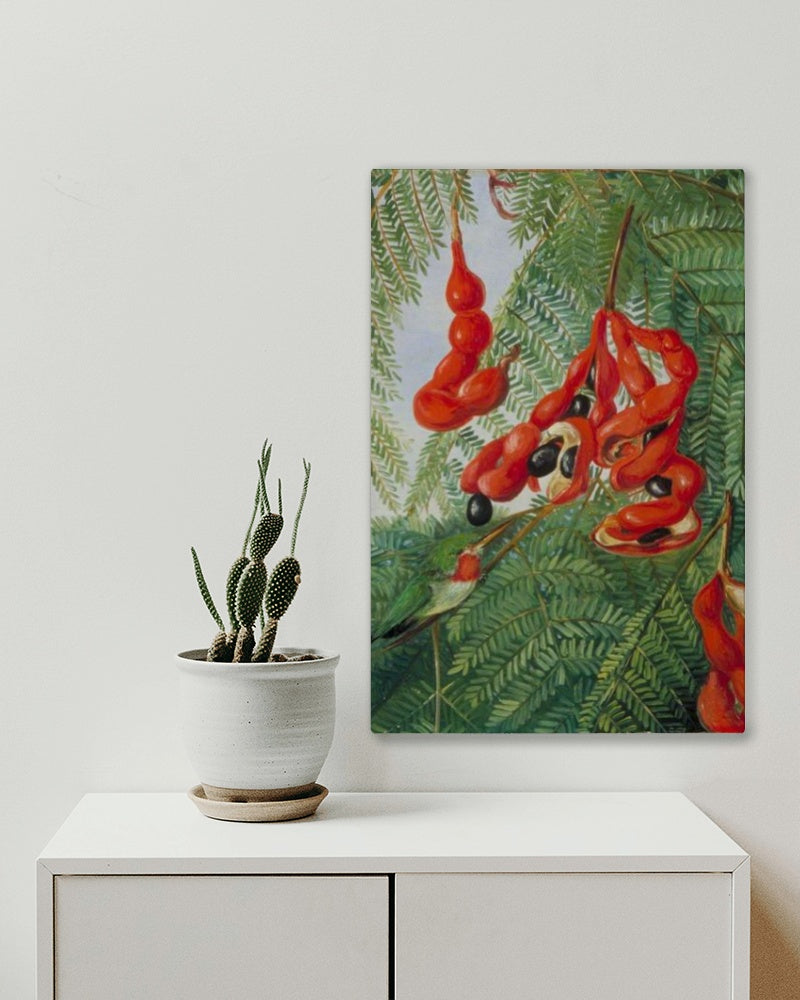 The Wild Tamarind of Jamaica with Scarlet Pod and Barbet by Marianne North Naturalism Art dated 1872