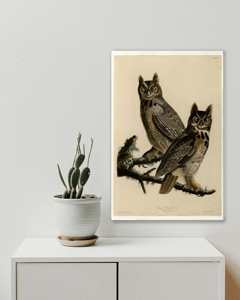 Plate 61. Great Horned Owl by John James Audubon Naturalism Art