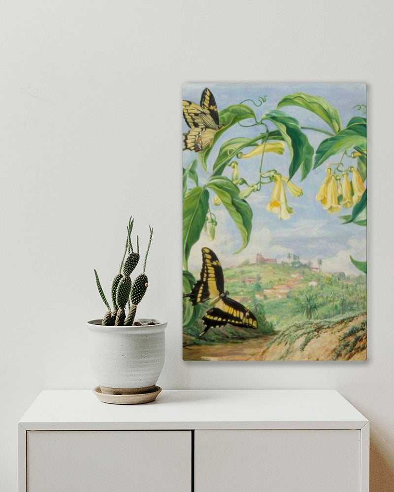 Yellow Bignonia and Swallow-Tail Butterflies with a View of Congonhas, Brazil by Marianne North Naturalism Art